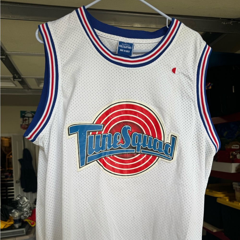 Toon squad Jordan champion basketball jersey